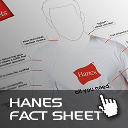 Computercut Caloundra - Hanes Tees Fact Sheet Link Graphic